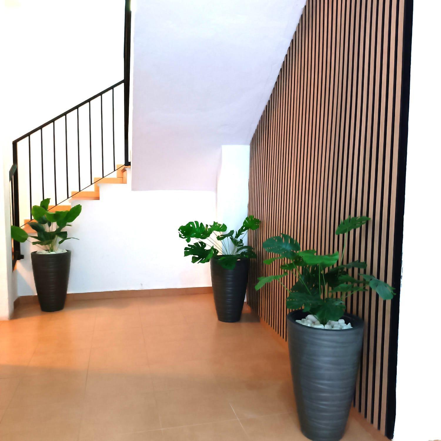 Apartamentos Duende Malaga Exterior photo